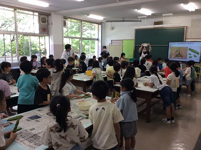 そら豆のさやむき