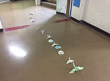 なにがいるのでしょう