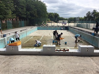 プール清掃