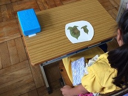 あさがお