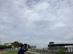 写真