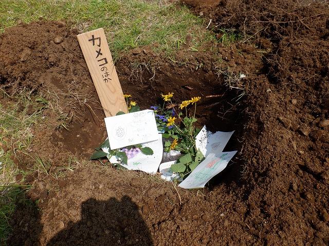 みんなからのメッセージとお花をそえて埋葬しました