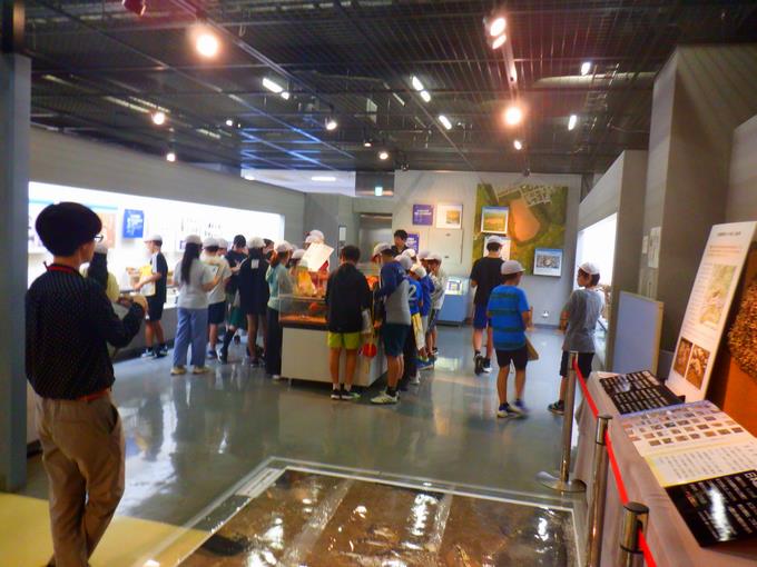 展示物を見学している様子