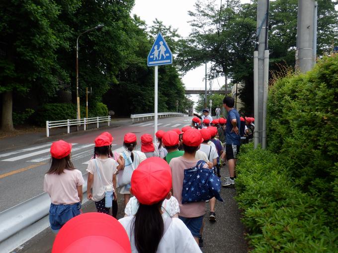 横断歩道の確認