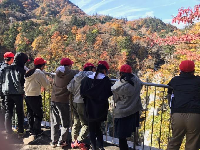 紅葉と滝