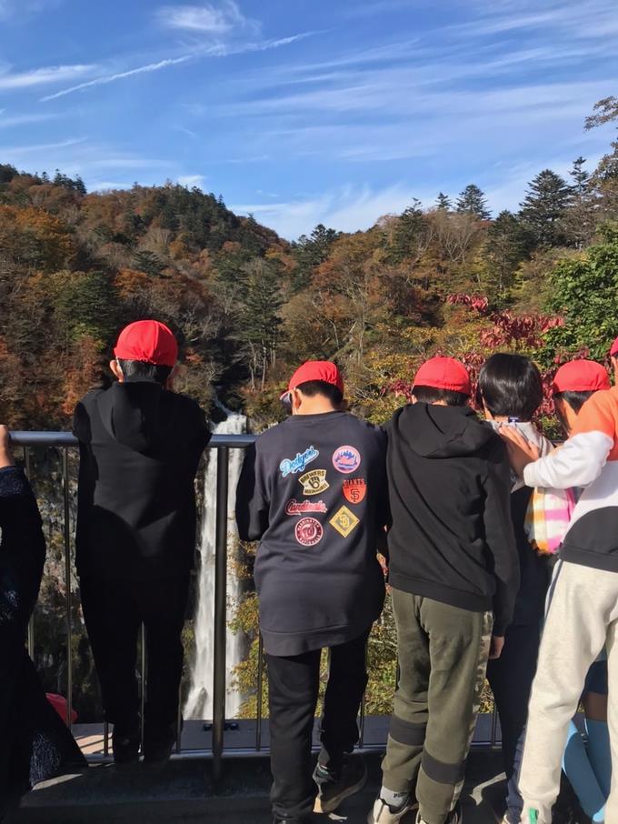 自然の力はすごいね