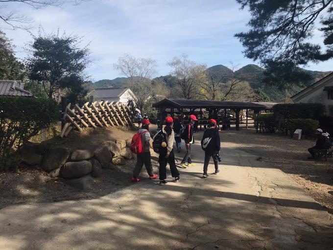 秋晴れです