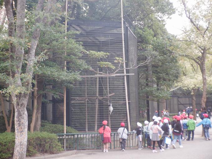 動物園は楽しいな