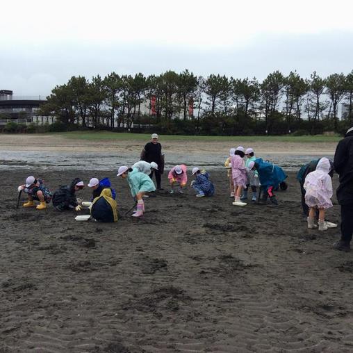 浜辺で生き物を探す子供たち