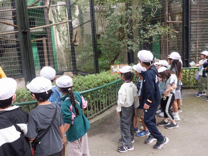 見学の様子①