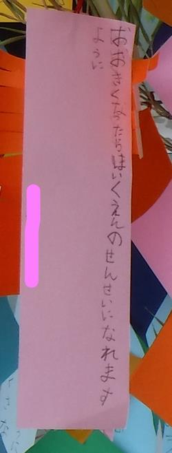 ねがいごと