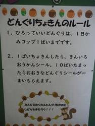 どんぐり