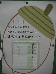 どんぐり