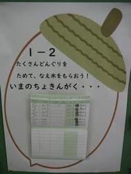 どんぐり