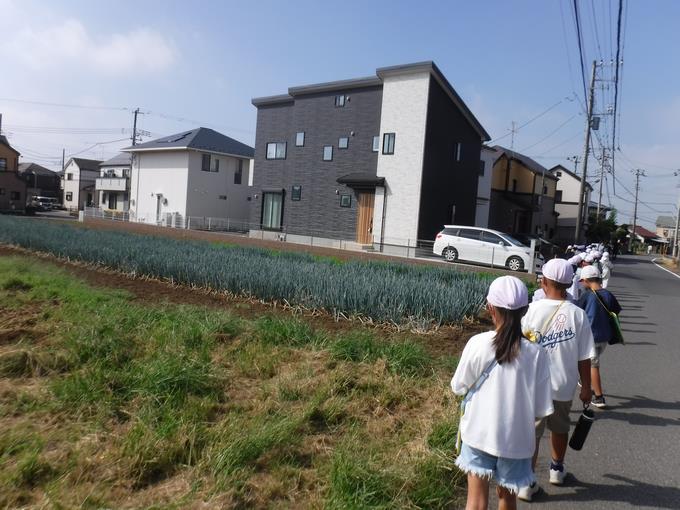 探検