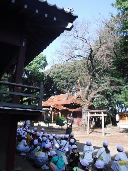探検