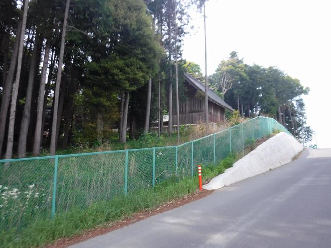 3年
