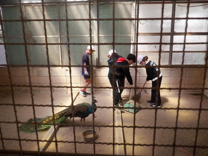 ジャック小屋の掃除