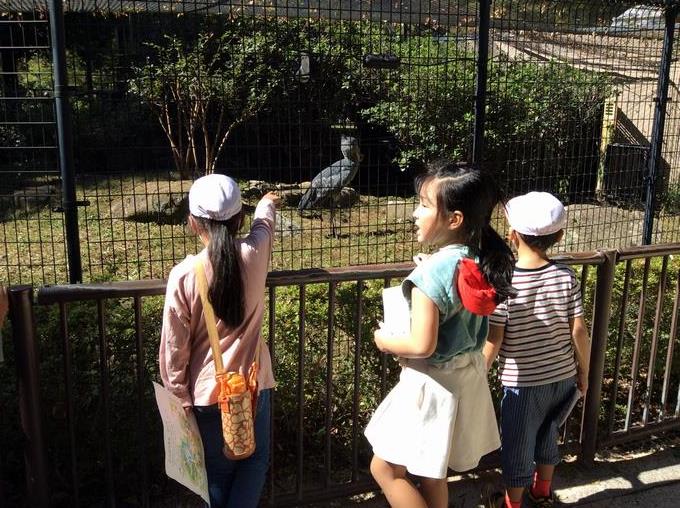 千葉市動物公園