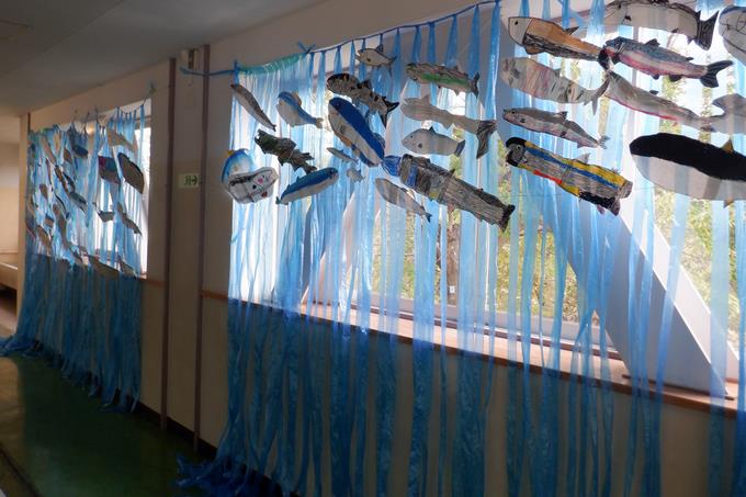 ２年生さけが大きくなるまで