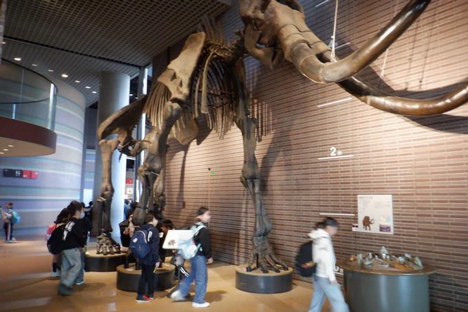 茨城県自然博物館