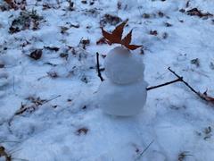 雪だるまを作ったよ