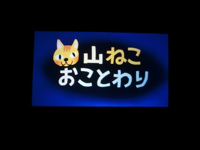 山ねこおことわり