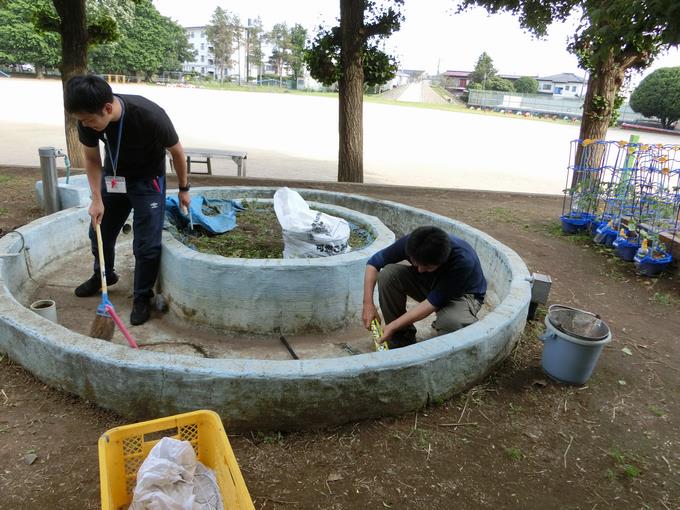 池の補修作業