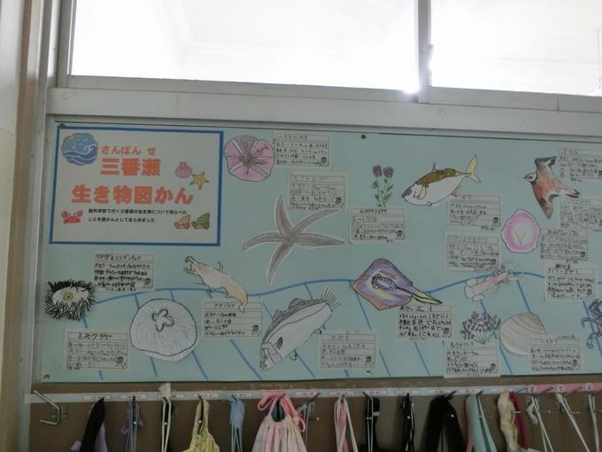 三番瀬生き物図かん1