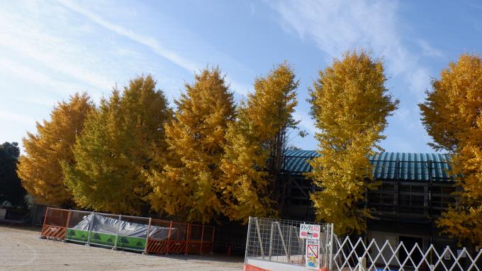 12月4日