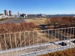 屋上からヘリポート