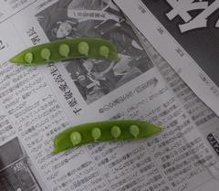 1つのさやに9個のグリンピース