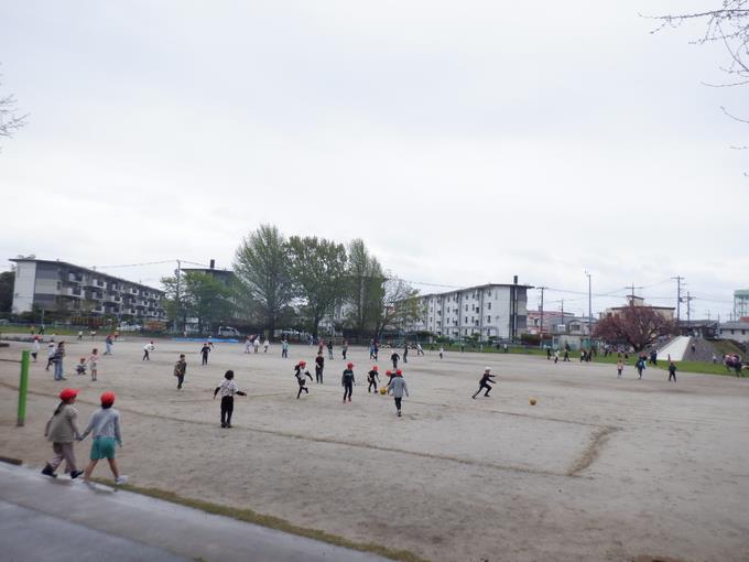 行間休み、元気に遊んでいます