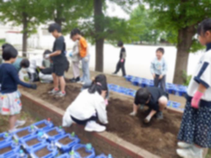 3年生の花壇の草取り