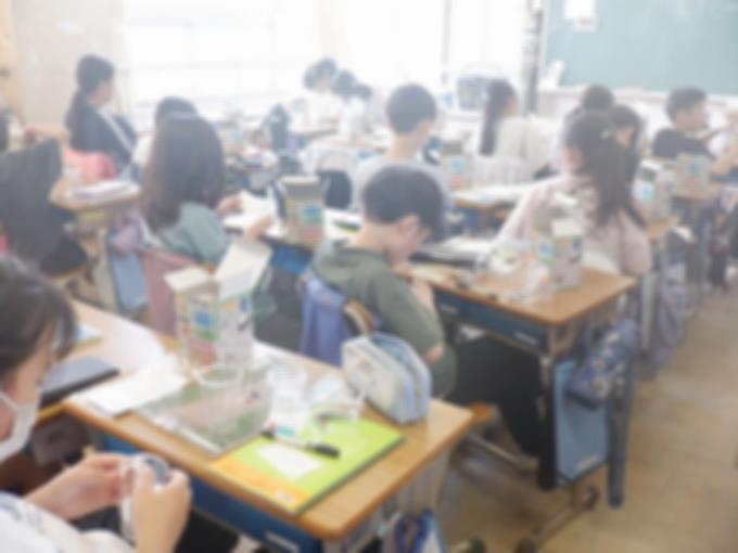 5年生　種をカップに入れて育てる準備