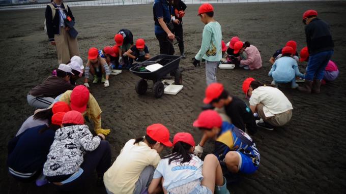 三番瀬にはどんな生き物がいるかな？