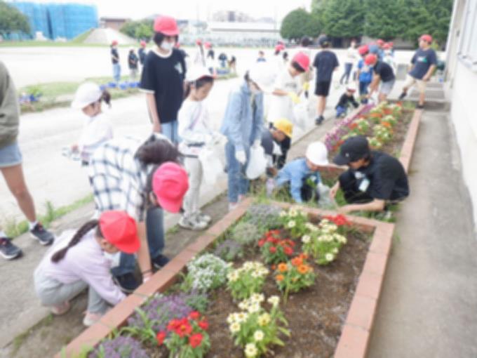 1年生と6年生　花壇の周囲の草取り