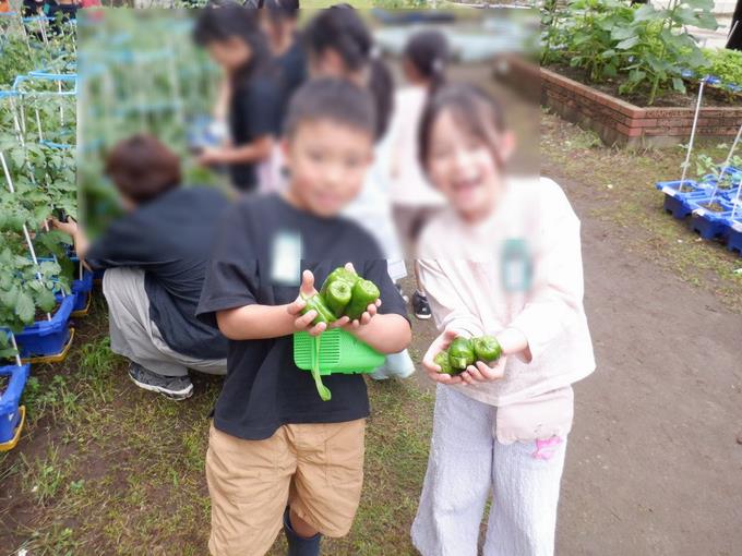 2年生　採れた野菜を大事に抱えています