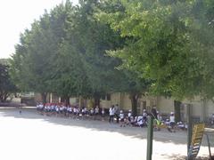 1年生 学年で運動会練習