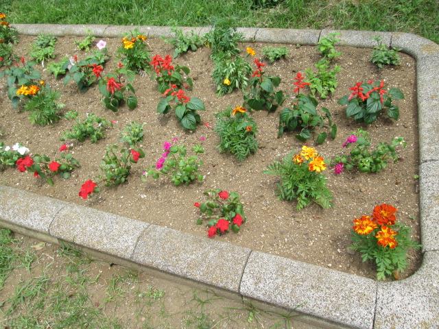 高郷公園の花壇