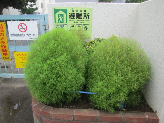 正門前