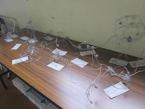 5年生の作品