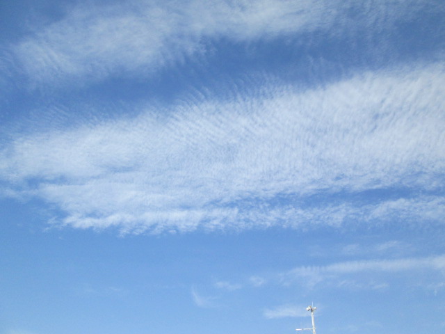 青空とうろこ雲