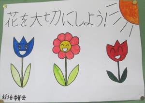 委員会の掲示物(栽培)
