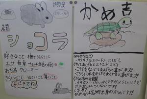 委員会の掲示物(飼育)