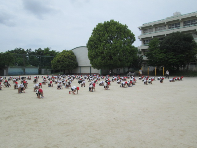 3,4年