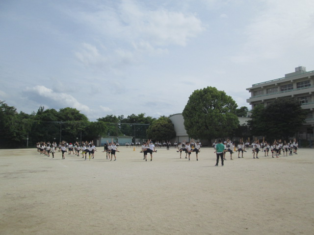 5,6年①