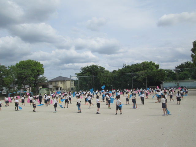 5,6年②