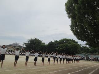 5,6年