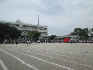 29